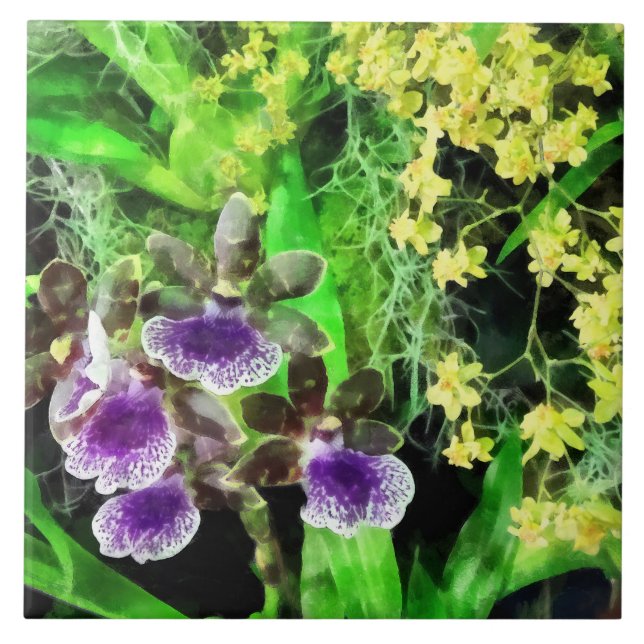 Azulejo De Cerâmica Geyser Jamie e orquídeas da fantasia do ouro (Frente)