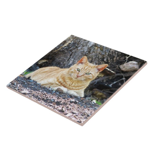 Azulejo De Cerâmica Ginger Boy (Lateral)