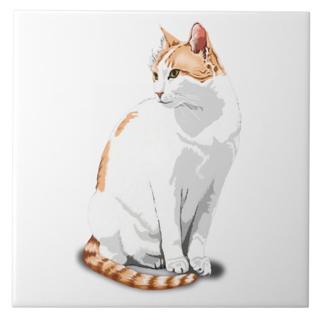 Azulejo De Cerâmica Ginger Laranja e Gato Branco Personalizado (Frente)
