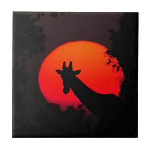 Azulejo De Cerâmica Girafa