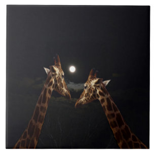 Azulejo De Cerâmica Girafa Amor Ao Luar,