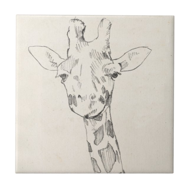 Azulejo De Cerâmica Giraffe Portrait | Esboço (Frente)