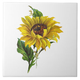 Azulejo De Cerâmica Girasol de Fazenda Botânica Vintage