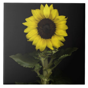 Azulejo De Cerâmica Girassol 11