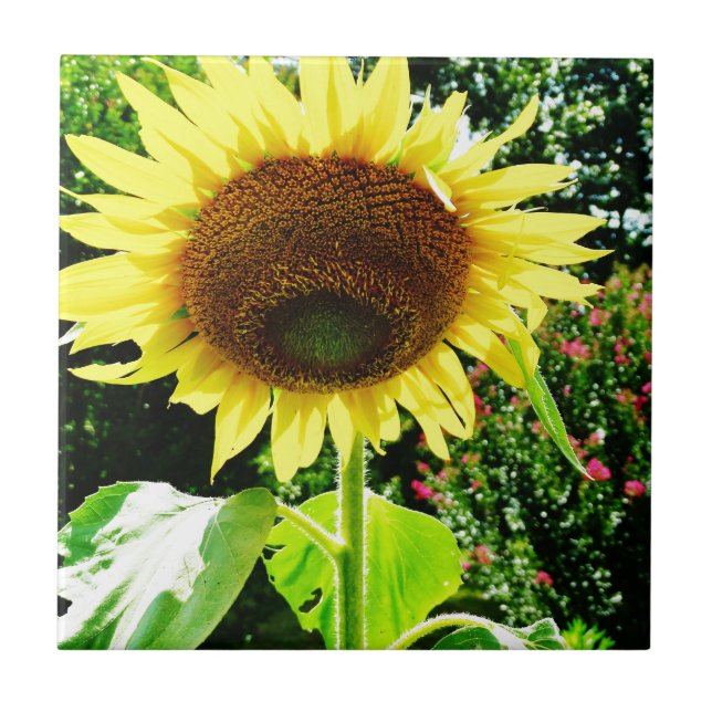 Azulejo De Cerâmica Girassol amarelo grande (Frente)