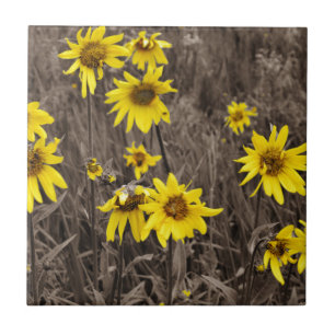 Azulejo De Cerâmica Girassol na Montanha Rochosa