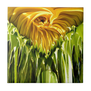 Azulejo De Cerâmica Girassol retrô funky abstrato, geometria assustada