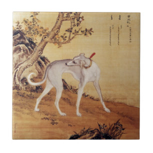 Azulejo De Cerâmica ~Giuseppe Castiglione~ do galgo do ~ do 苍水虬 