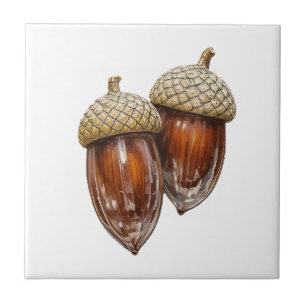 Azulejo De Cerâmica Glassy Acorns