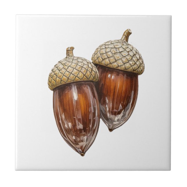 Azulejo De Cerâmica Glassy Acorns (Frente)