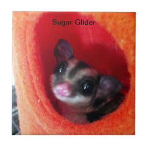 Azulejo De Cerâmica Glider em Laranja na Cama