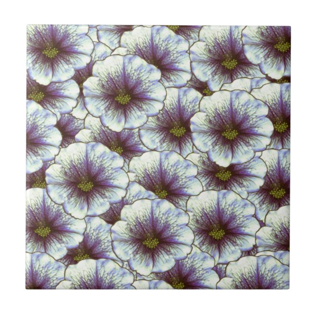 Azulejo De Cerâmica Glória da Manhã Roxo e Branco (Frente)