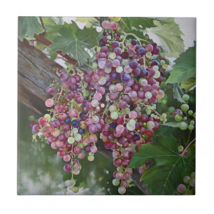 Azulejo De Cerâmica Glória das Vinhas - Arte do Vineyard hiperrealista
