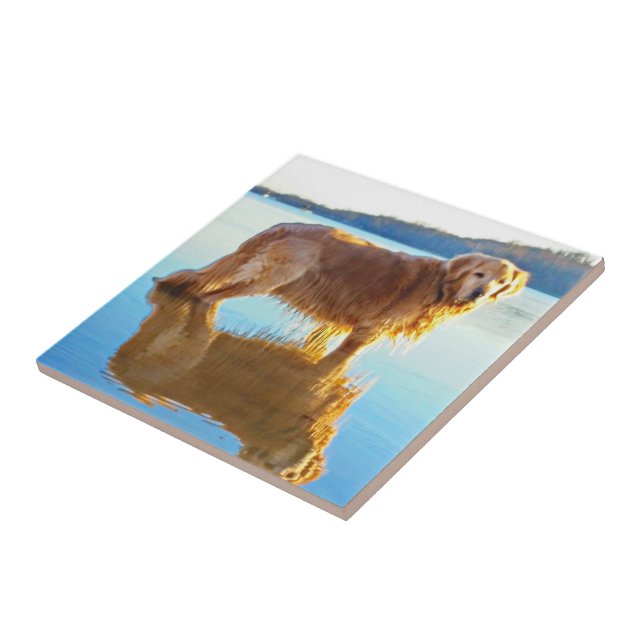 Azulejo De Cerâmica Golden retriever (Lateral)