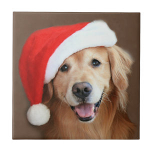 Azulejo De Cerâmica Golden retriever com chapéu do papai noel