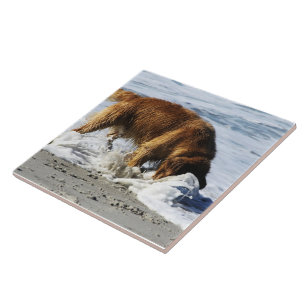 Azulejo De Cerâmica Golden retriever TODOS PARADA! Eu perdi meu