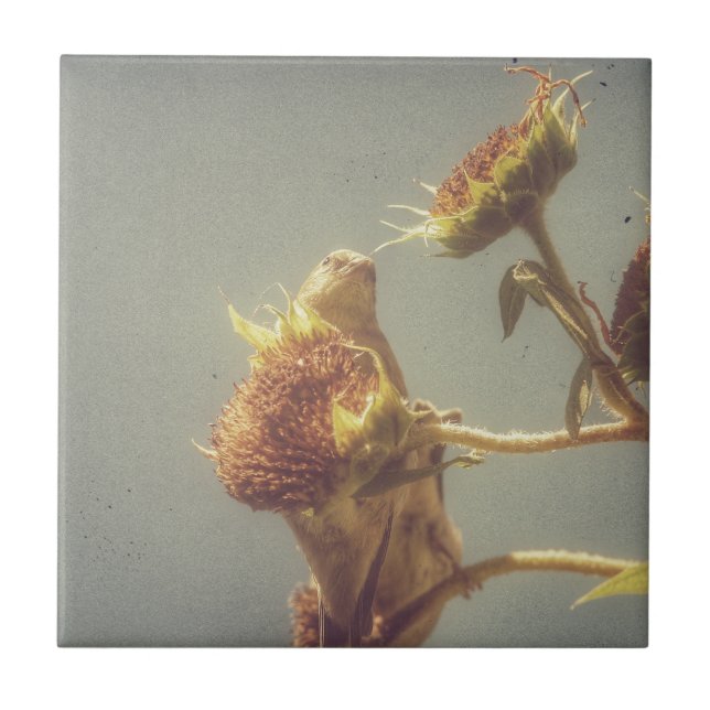 Azulejo De Cerâmica Goldfinch (Frente)