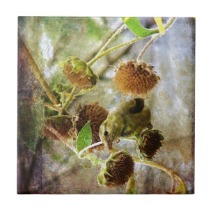 Azulejo De Cerâmica Goldfinch e Girassóis