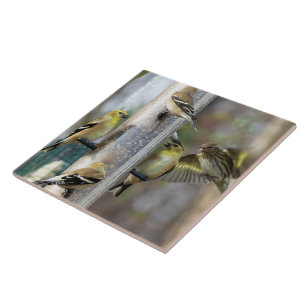 Azulejo De Cerâmica Goldfinches no alimentador