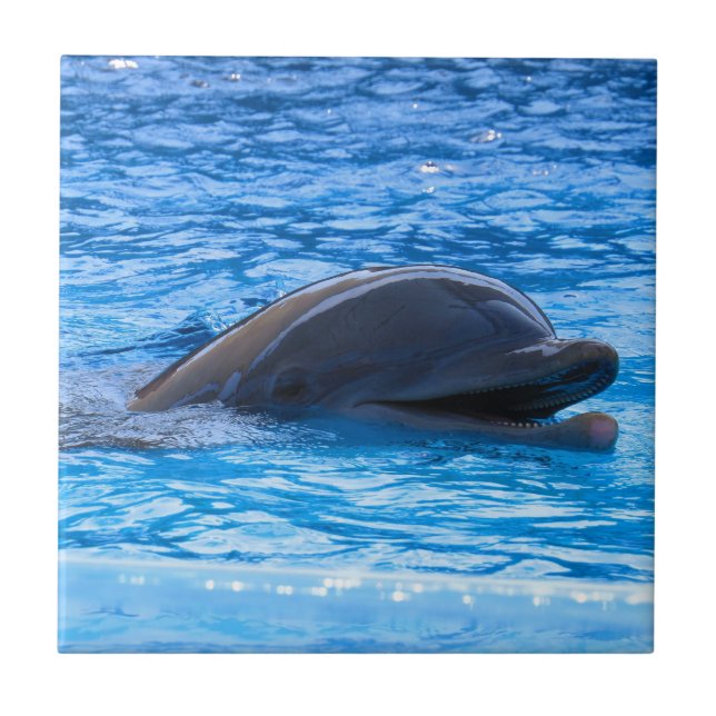 Azulejo De Cerâmica Golfinho (Frente)