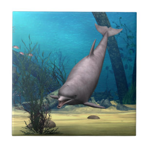 Azulejo De Cerâmica Golfinho