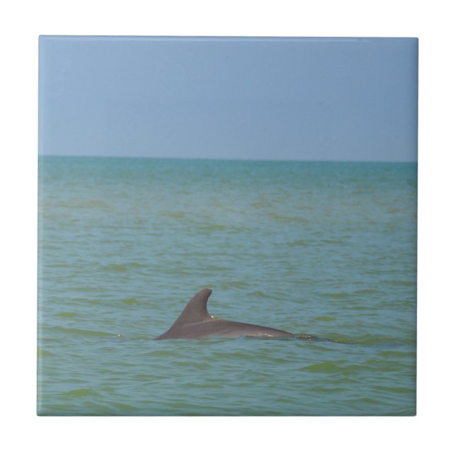 Azulejo De Cerâmica Golfinho em Sanibel (Frente)