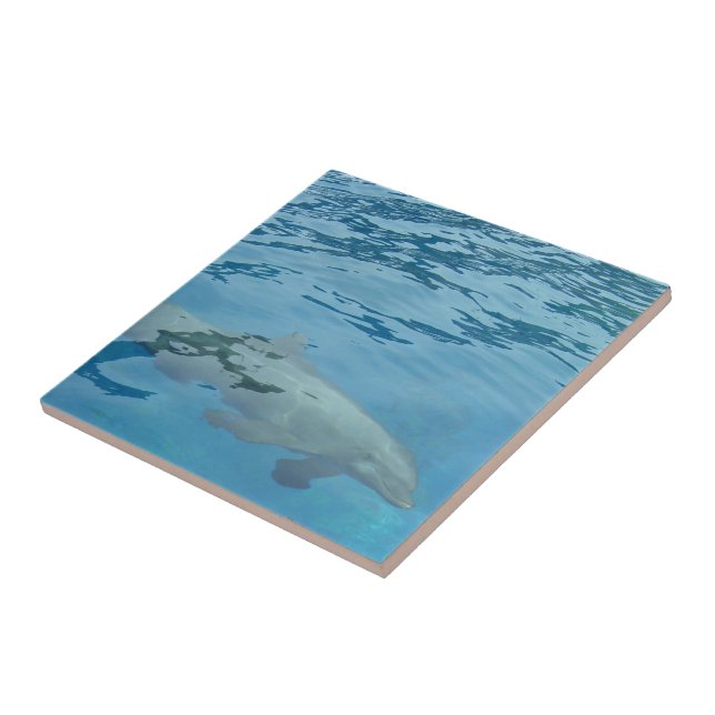 Azulejo De Cerâmica Golfinho Nadando Através de Água Azul Clara (Lateral)