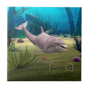 Azulejo De Cerâmica Golfinho Sorridente