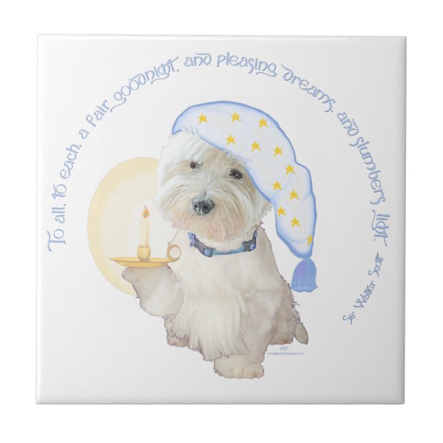 Azulejo De Cerâmica Goodnight Blue (Frente)