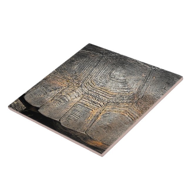 Azulejo De Cerâmica Gopher Tortoise Shell Design (Lateral)