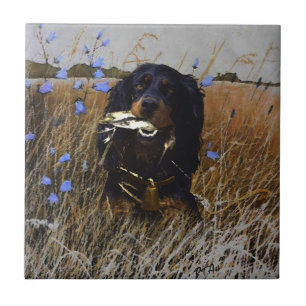 Azulejo De Cerâmica Gordon Setter