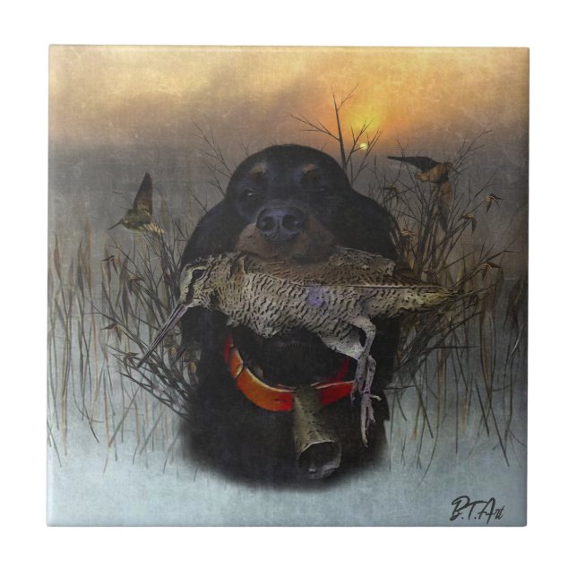 Azulejo De Cerâmica Gordon Setter (Frente)