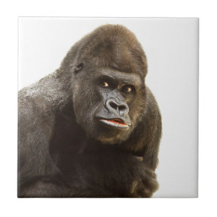 Azulejo De Cerâmica Gorilla Pout