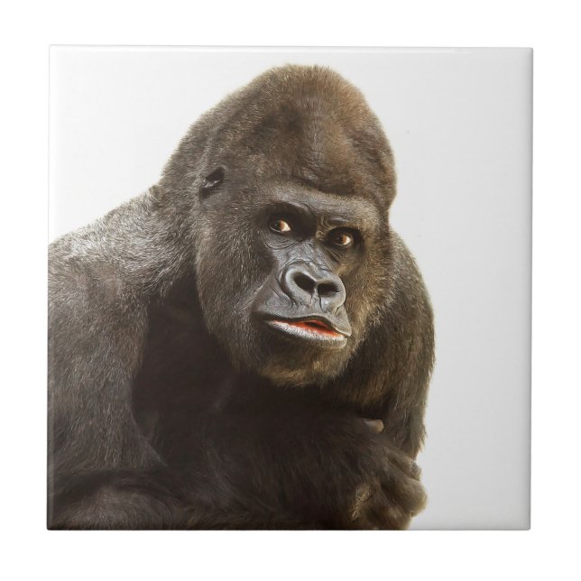 Azulejo De Cerâmica Gorilla Pout (Frente)