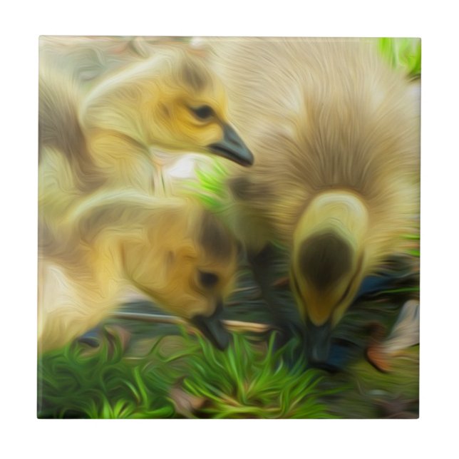 Azulejo De Cerâmica Gosling (Frente)