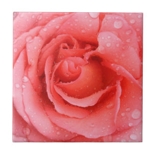 Azulejo De Cerâmica Gotas de água de rosa vermelha romântica
