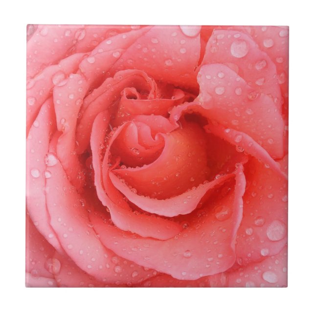 Azulejo De Cerâmica Gotas de água de rosa vermelha romântica (Frente)