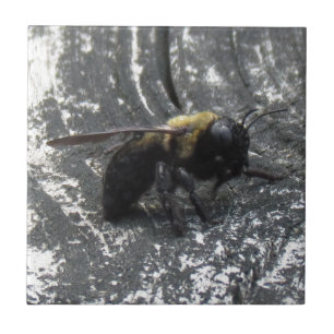 Azulejo De Cerâmica Gotas de chuva