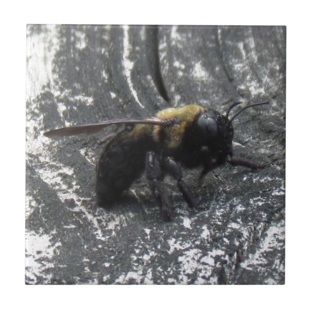 Azulejo De Cerâmica Gotas de chuva (Frente)