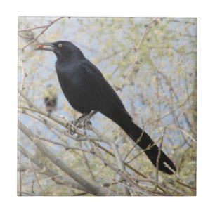 Azulejo De Cerâmica Grackle Excelente-atado