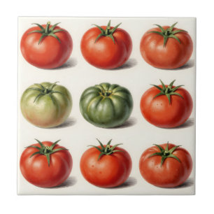Azulejo De Cerâmica Grade de Variedades de Tomate Antigo Botânico