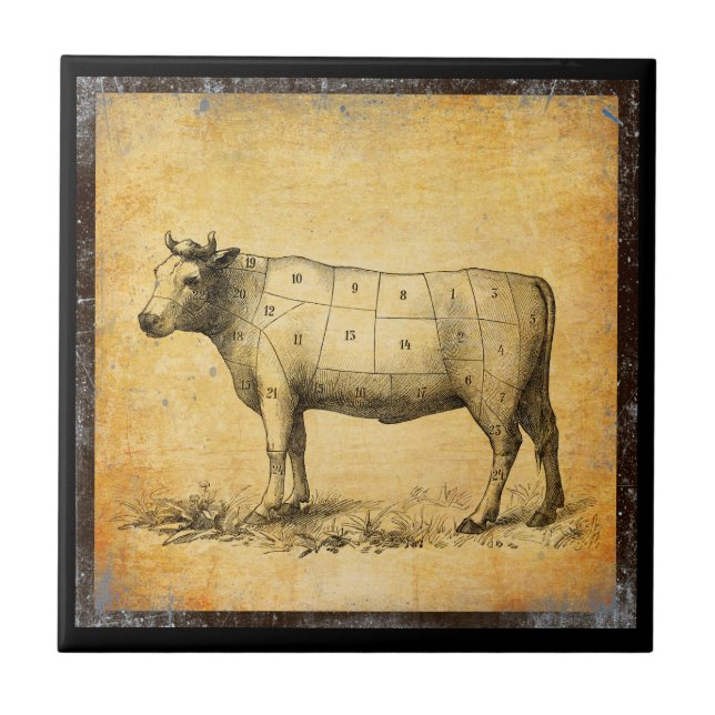 Azulejo De Cerâmica gráfico de carne de bovino com cortes numerados (Frente)