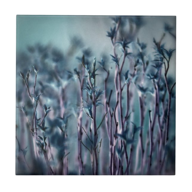Azulejo De Cerâmica Grama Azul (Frente)