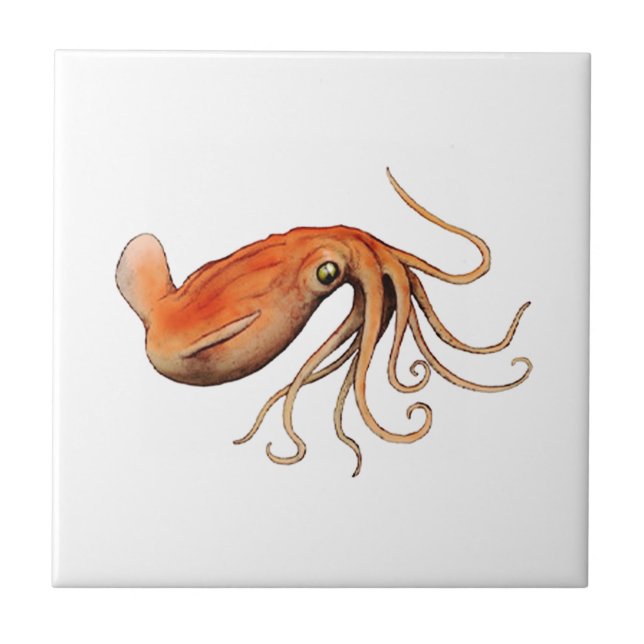 AZULEJO DE CERÂMICA  GRANDE (Frente)