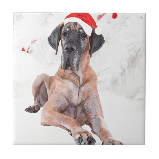 Azulejo De Cerâmica Grande Cachorro Dane Que Feliz Natal (Frente)