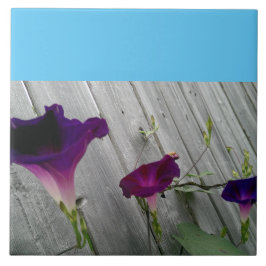 Azulejo De Cerâmica Grande, decorativo