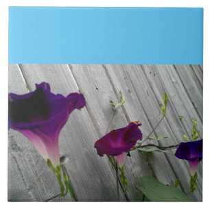 Azulejo De Cerâmica Grande, decorativo