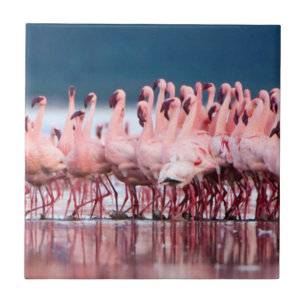 Azulejo De Cerâmica Grande Grupo de Flamingos Menores