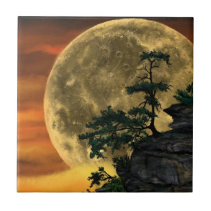 Azulejo De Cerâmica Grande Noite de Lua Cheia - Coleção de Arte de D