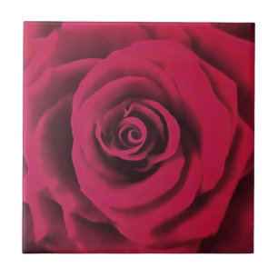 Azulejo De Cerâmica Grande Rosa vermelha